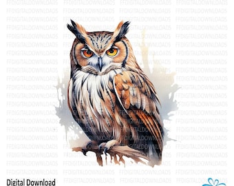 Owl Clipart PNG, Printable Owl on Branch (Digital Download)