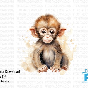 Clipart bébé singe, singe PNG, aquarelle singe Clipart, bébé singe PNG, sublimation de singe, imprimable, téléchargement numérique, #4094