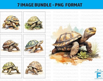 Tortoise Clipart, 7 High-Quality PNGs, Tortoise Png, Watercolor Tortoise Png, Commercial Use, Sublimation, Printable, Digital Downloads