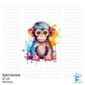Bébé singe PNG, singe PNG, aquarelle singe Clipart, singe coloré PNG, sublimation, imprimable, téléchargement numérique, #0222