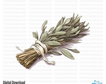Imágenes prediseñadas de salvia seca, salvia seca PNG, paquete de salvia seca, imagen de salvia seca, sublimación de salvia seca, imprimible, descarga digital, n.° 5482