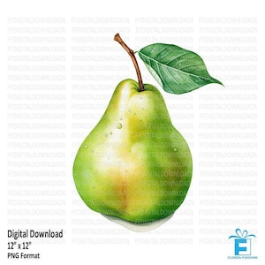 Pear Clipart, Pear Png, Watercolor Pear, Pear Digital Clipart, Pear Sublimation, Printable Pear, Digital Download, #4223(1)
