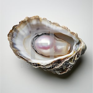 Oyster Clipart, Oyster JPG, Oyster image, Oyster with Pearl JPG, Digital Clipart, Sublimation, Printable, Digital Download