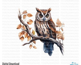 Owl Clipart, Owl on Branch Clipart, PNG, Owl Digital Clipart, Owl Image, Owl Sublimation, Printable Owl, Digital Download, #5567
