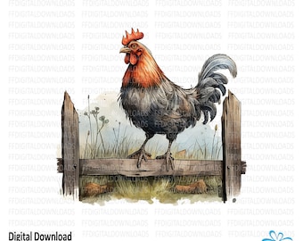 Chicken Clipart, Chicken Png, Watercolor Chicken, Digital Clipart, Chicken on fence, Rooster Sublimation, Printable, Digital Download