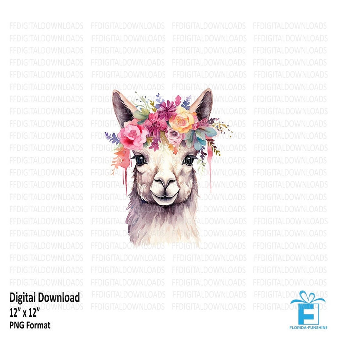 Llama PNG, Llama Clipart, Llama With Flowers, Watercolor Llama With ...