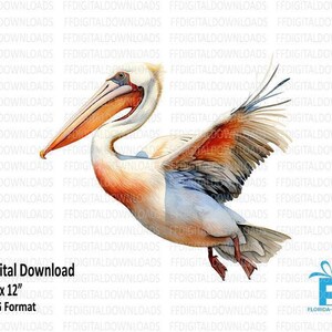 Pelican PNG, Pelican Clipart, Watercolor Pelican, Pelican Design, Pelican Art, Sublimation, Printable, Digital Download. #4150