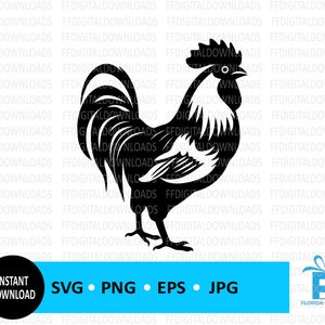 Chicken SVG, Chicken PNG, Chicken Clipart, Rooster Design, Chicken Vector, Cricut, Cut File, Clipart, Digital Download