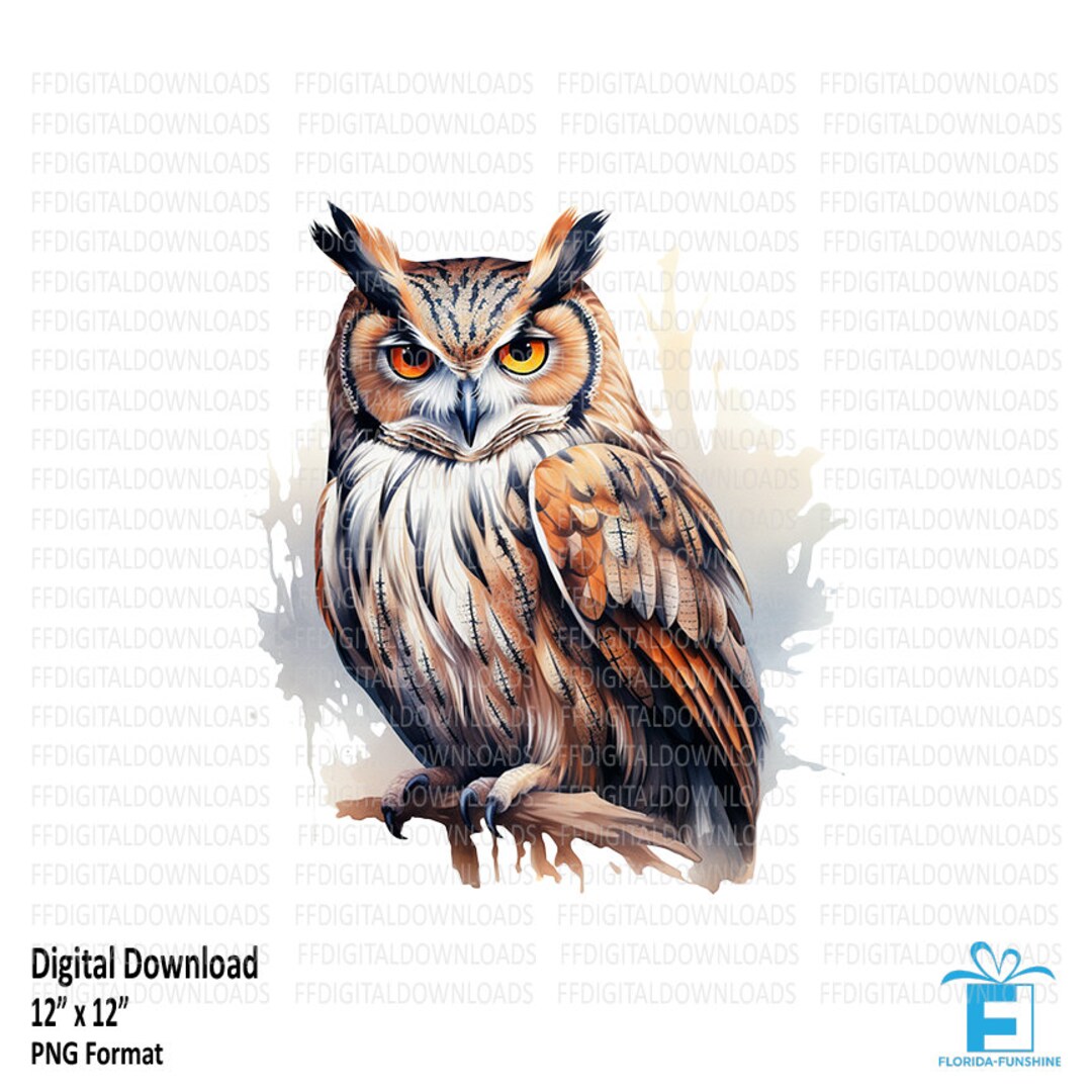 Owl Clipart, Owl PNG, Owl Clipart, Owl Image, Printable Owl Art, Sublimation Owl, Owl on Branch ...