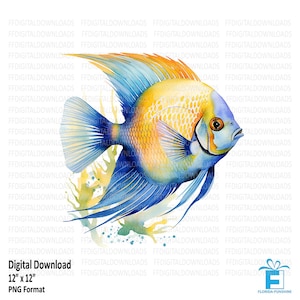 Angel Fish Clipart, Angel Fish Png, Angel Fish Image, Angel Fish Digital Clipart, Angel Fish Sublimation, Printable, Digital Download #5622