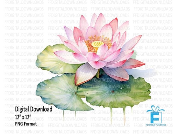 LOTUS DESIGNS PFD ロータスデザイン Amazon.co.jp: LOTUSDESIGNS ロータスデザイン PFD ライフジャケット