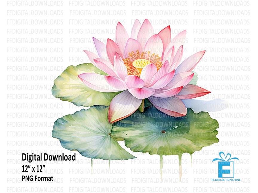 Lotus Flower PNG, Lotus Flower on Lilypad Clipart