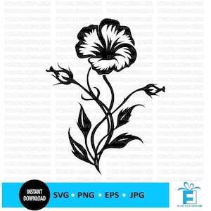 Morning Glory SVG, Morning Glory PNG, Morning Glory Flower Clipart, Flower Design, Vector, EPS, Cricut, Cut File, Clipart, Digital Download