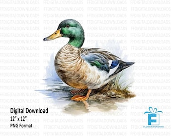 Mallard Duck PNG, Mallard Duck Clipart, Watercolor Mallard Duck, Duck Digital Clipart, Sublimation, Printable, Instant Download, #4135