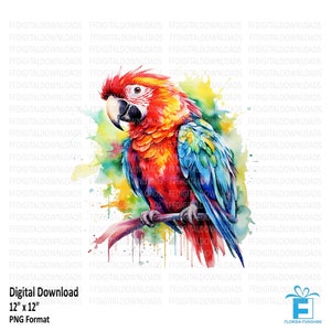 Parrot Clipart, Parrot PNG, Watercolor Parrot, Parrot Image, Colorful Parrot, Printable Parrot, Sublimation, Digital Clipart, #5545