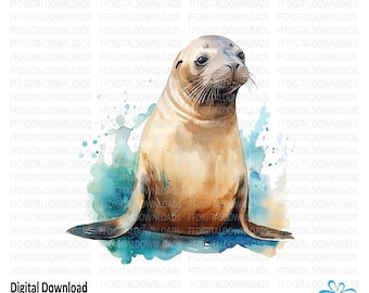 Sea Lion Clipart, Sea Lion Png, Watercolor Sea Lion, Digital Clipart, Sea Lion Image, Sublimation, Printable, Digital Download, #5337