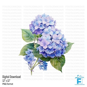 Hydrangea Clipart, Hydrangea Png, Watercolor Hydrangea, Hydrangea Flower, hydrangea Sublimation, Printable, Digital Download, #4180