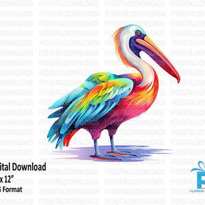 Colorful Pelican PNG, Pelican Clipart, Watercolor Pelican, Pelican Png, Sublimation, Digital Clipart, Printable, Digital Download. #4152