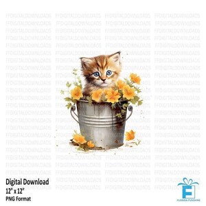 Kitten PNG, Cat PNG, Cat Clipart, Cute Kitten Clipart, Kitten Shirt design, Cat Lover Gift, Sublimation, Printable, Digital Download, #0210