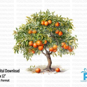 Orange Tree Png, Orange Tree Clipart, Watercolor Orange Tree,  Orange Tree Digital Clipart, Sublimation, Printable, Digital Download, #4180
