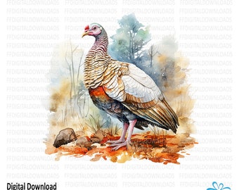 Turkey Clipart, Turkey Png, Watercolor Turkey, Turkey Sublimation, Wild Turkey, Printable turkey, Digital Download. #5591