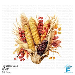 Indian Corn Clipart, Indian Corn Png, Watercolor Indian Corn, Indian Corn, Sublimation, Printable, Digital Download, #4191