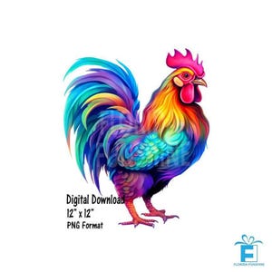 Chicken Clipart, PNG, Colorful Chicken, Farm Animal PNG, clip art, sublimation, printable chicken, DTG, instant download, #0108