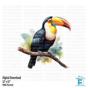 Tucano Clipart, Tucano PNG, Imagem de Tucano, Tucano para Imprimir, Sublimação de Tucano, DTG, Tucano para Imprimir, Download Digital, #5244