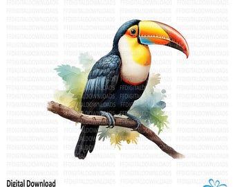 Toucan Clipart, Toucan PNG, Toucan Image, Printable Toucan, Toucan Sublimation, DTG, Printable Toucan, Digital Download, #5244
