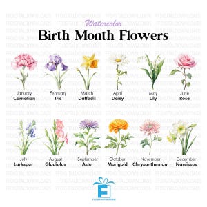 Birth Month Flowers Clipart Bundle Commercial Use Watercolor Birth Flower Digital Design Bundle PNG Files Download Clipart Watercolor