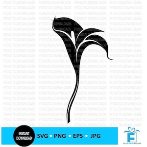 Calla Lily SVG, Calla Lily PNG, Calla Lily Clipart, Calla Lily Silhouette, Vetor, EPS, Cricut, Arquivo de corte, Clipart, Download digital