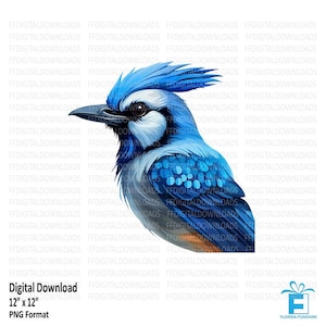 Può includere: Download digitale di un'illustrazione di ghiandaia azzurra. L'uccello è raffigurato con un piumaggio blu, bianco e nero sorprendente e una cresta distintiva. L'immagine misura 30,48 cm x 30,48 cm ed è in formato PNG.