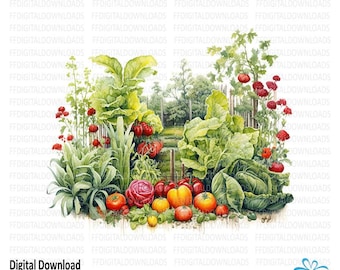 May include: A watercolor painting of a garden scene with a variety of vegetables and flowers. The vegetables include tomatoes, lettuce, and cabbage. The flowers are red and pink. The garden is surrounded by a wooden fence.