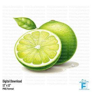 Lime Clipart, Lime Png, Watercolor Lime, Lime Digital Clipart, Lime, Sublimation, Printable, Digital Download, #215