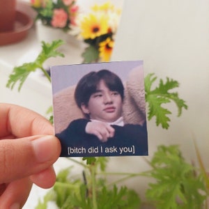 Memesticker Stray Kids (inclusief gratis fotokaart)| Hyunjin - heb ik je gevraagd?