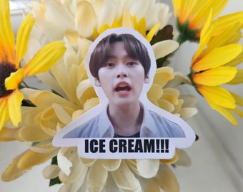 Stray Kids meme sticker (free photocard included) | Lee Know - ICE CREAM!!!