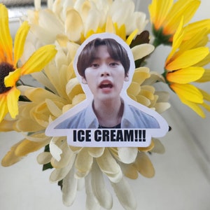 Stray Kids meme Aufkleber (kostenlose Fotokarte enthalten) | Lee Weiß - ICE CREAM!!!