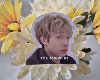 Stray Kids meme sticker (free photocard included) | Bang Chan - tf u looking at