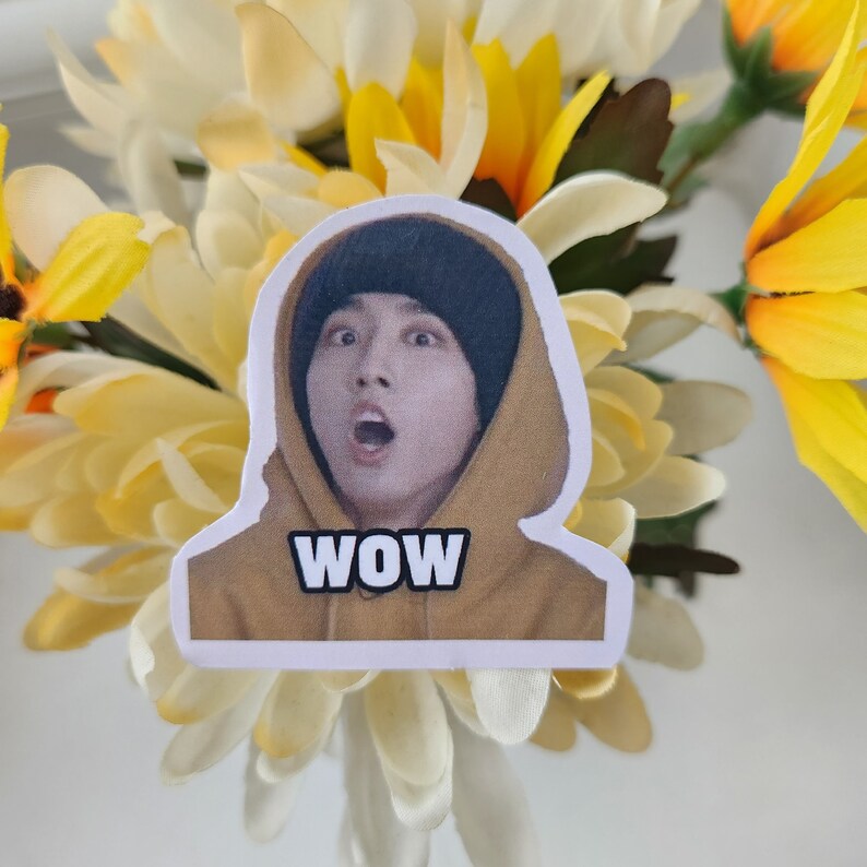 Stray Kids Mem Sticker (free Photocard Included) | HAN - WOW - Etsy ...
