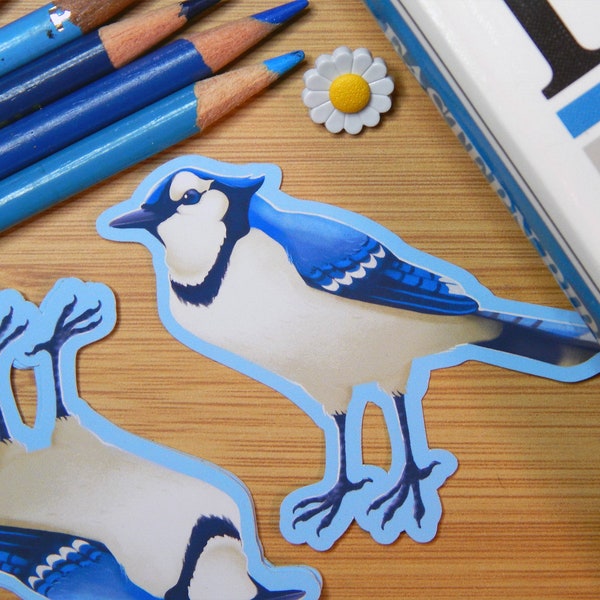 Blue Jay Backyard Birds Birdwatching Waterproof Vinyl Sticker