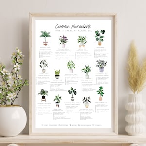 Gemeenschappelijke kamerplant verzorgingsgids poster voor plantenliefhebber - beginnersvriendelijk - plantinstructie - woondecoratie, cadeau voor haar, posterkunst, kristallen