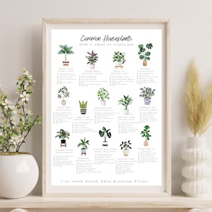 Common Houseplant Care Guide Poster for Plant Lover - Beginner Friendly - Plant Instruction - Home Decor, Gift for Her, Poster Art, Crystals