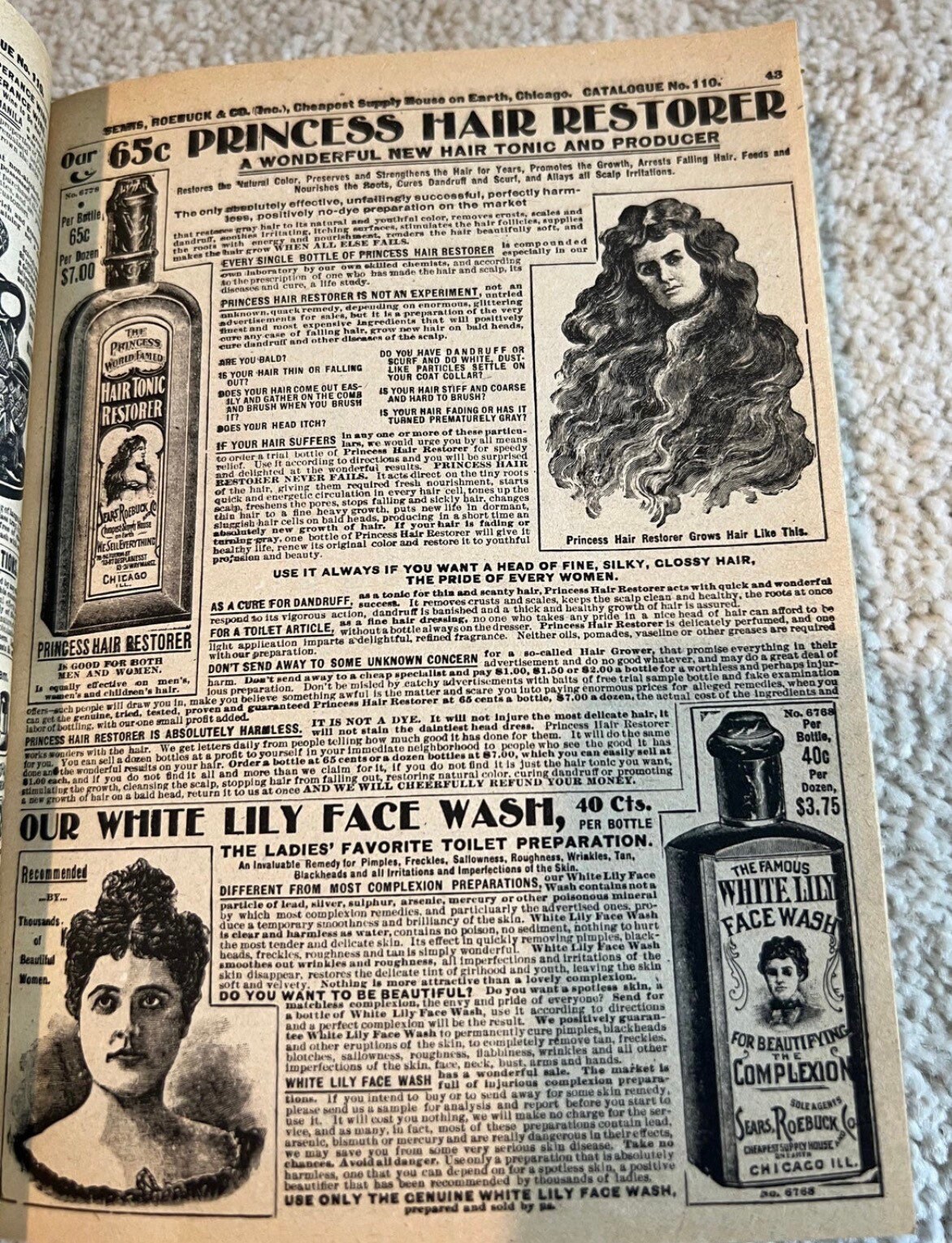 Sears Roebuck and Co. Consumers Guide Fall 1900 Catalog No. 110 Vintage