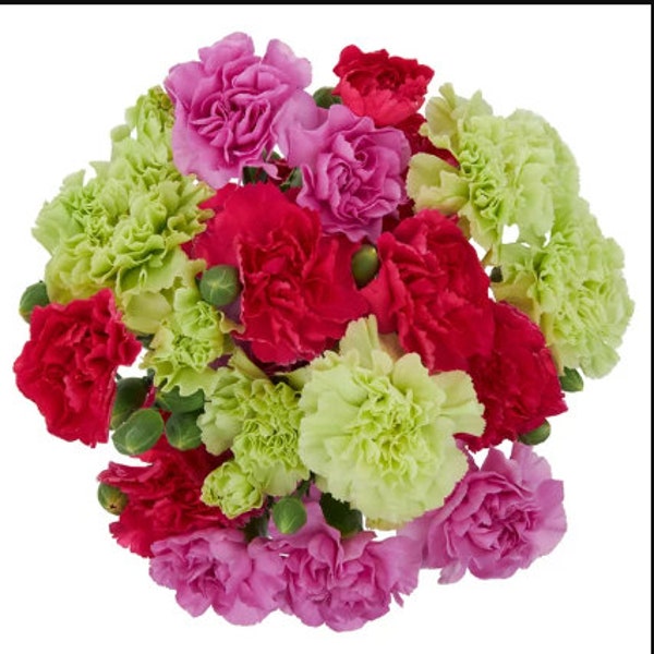 Fresh-Cut Carnations Flower Bunch, Minimum of 8 Stems, Colors Vary