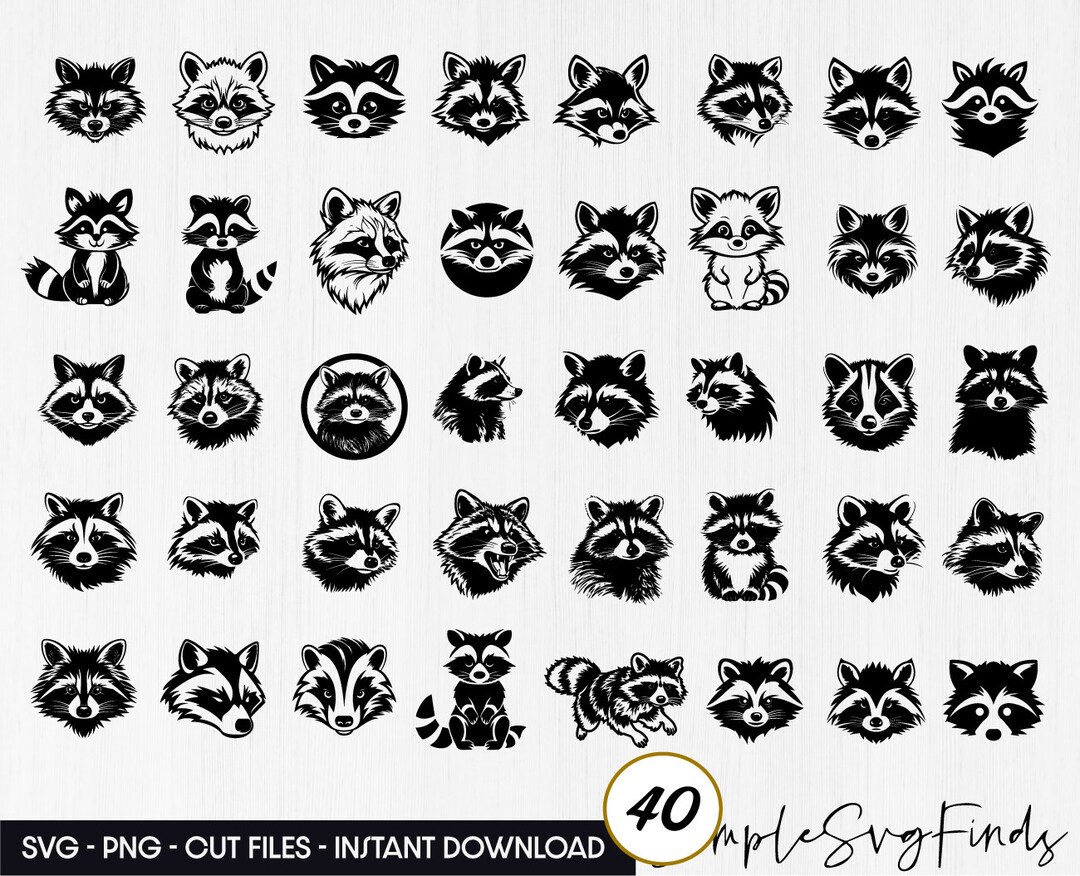 Raccoon SVG Bundle Png, Raccoon Cricut , Raccoon Clipart, Raccoon Cut