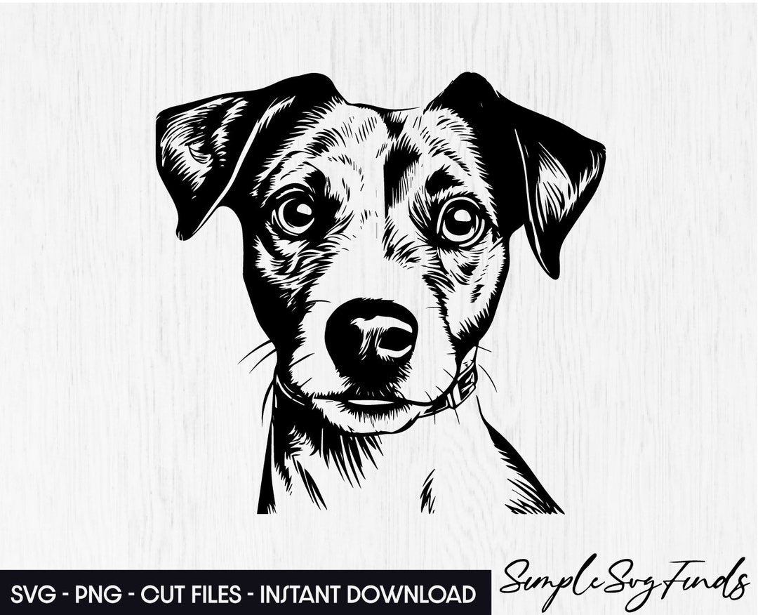 Jack Russel Head Svg, Dog Face Png, Shirt Cut File Gift for Cricut and