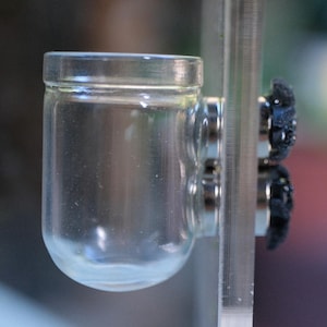 Escape Proof Jumping Spider Feeder Bowl - Magnetic Glass Dish