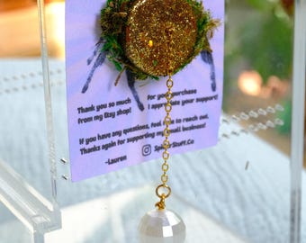 Spider Disco Ball Ledge: Enclosure Decor with Moss