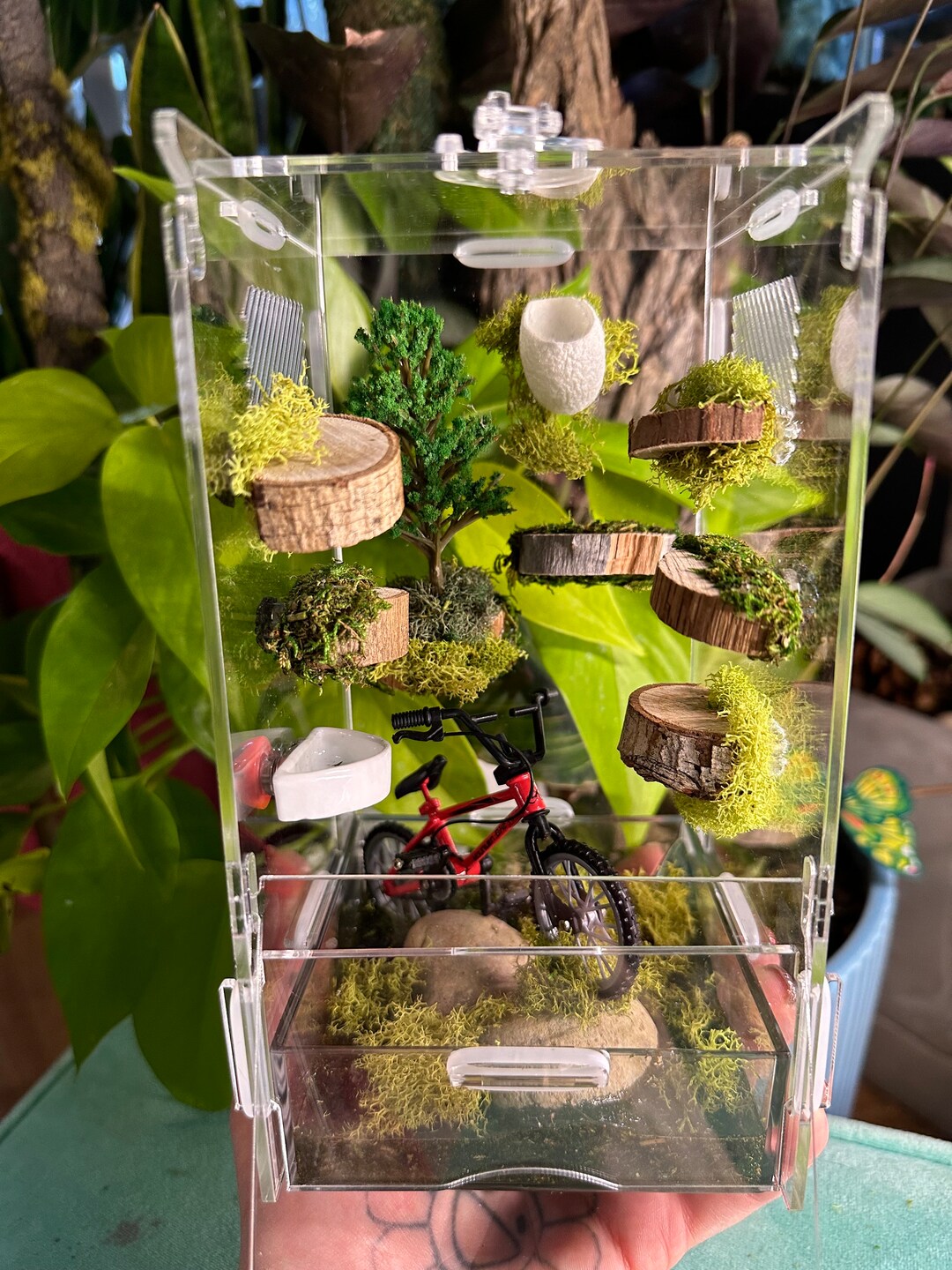 ORIGINAL Modular Spider Enclosure 4 X 4 X 8 Jumping Spider Etsy