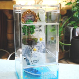 Harbor Bloom Jumping Spider Enclosure – Glow-in-the-Dark Water (8"x4"x4")